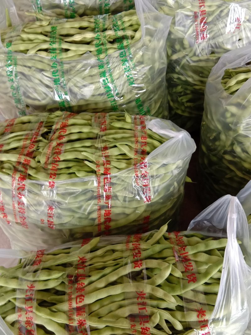 大青豆