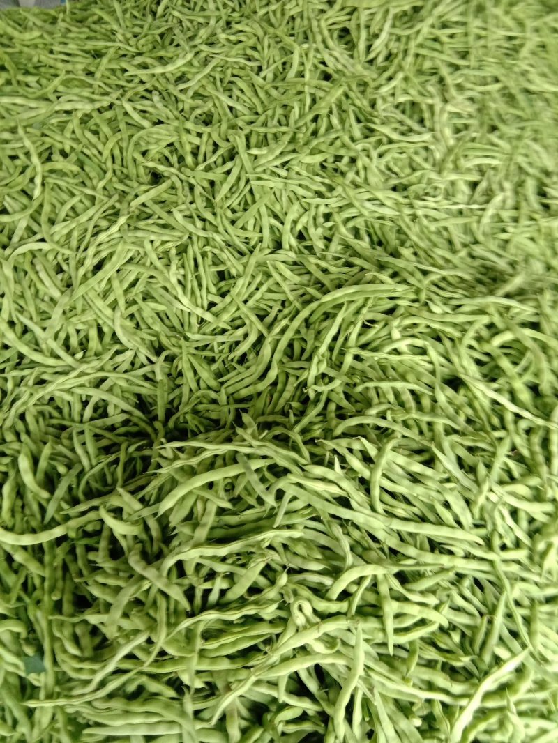 大青豆
