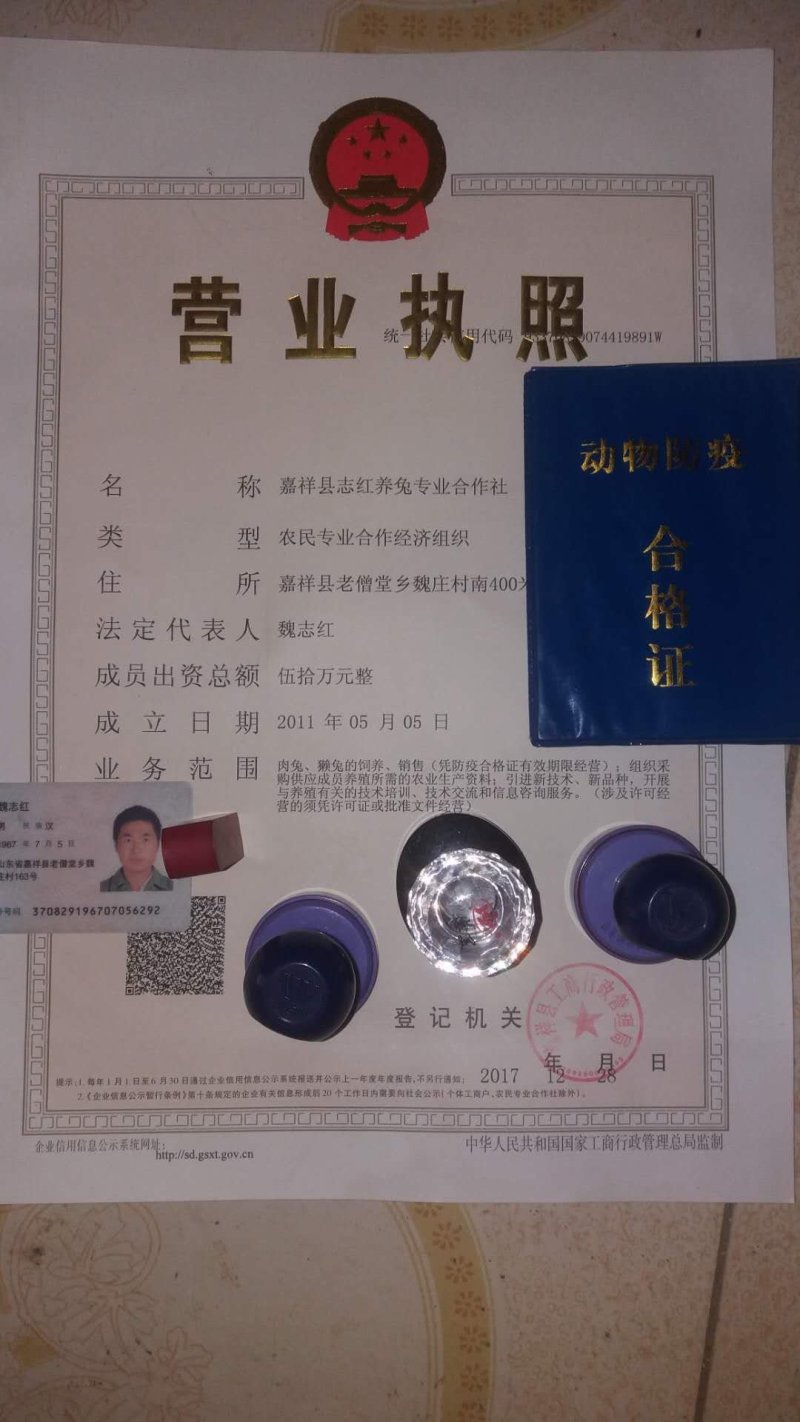 大量供应各种肉兔和兔产品全国各地均可发货