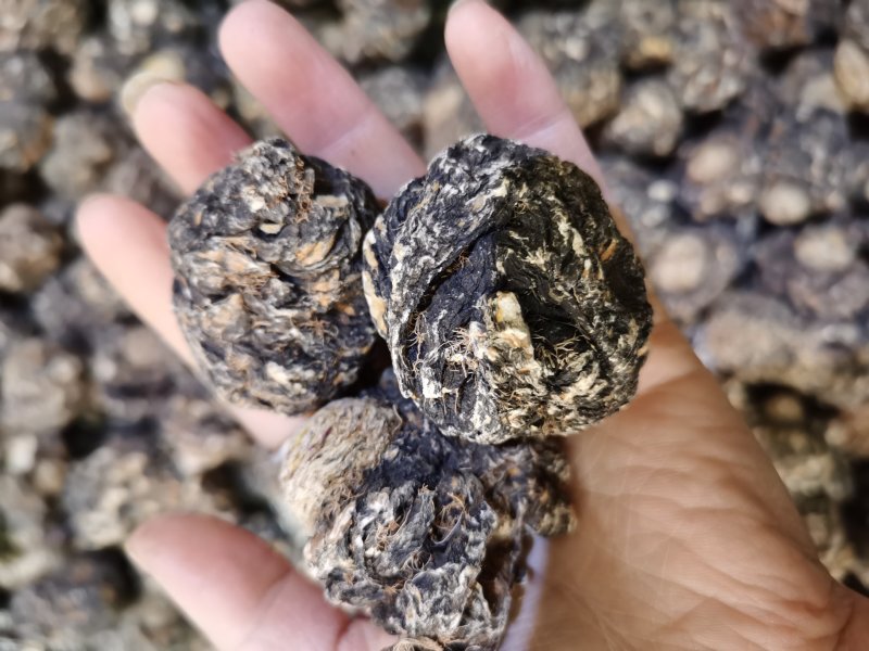 丽江高海拔精品黑玛卡(一手货源)一件代发