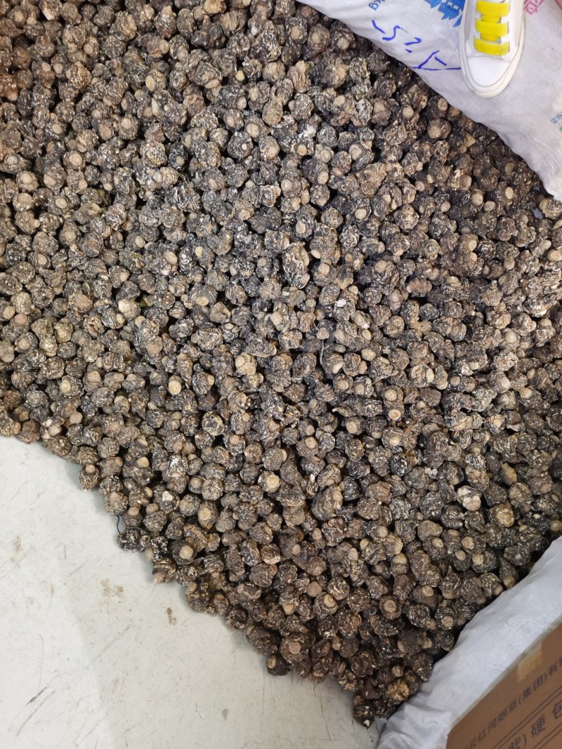 丽江高海拔精品黑玛卡(一手货源)一件代发