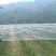 果园防虫网