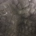 防鸟网