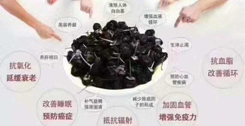 枸杞甘肃瓜州特产枸杞，自产自销，无添加，无残留，不结块