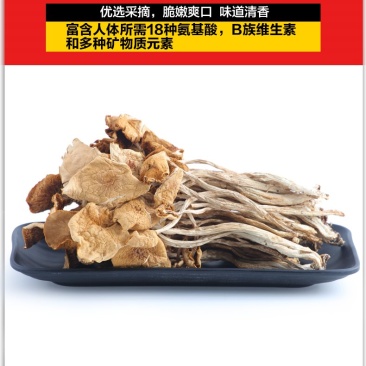 茶树茹