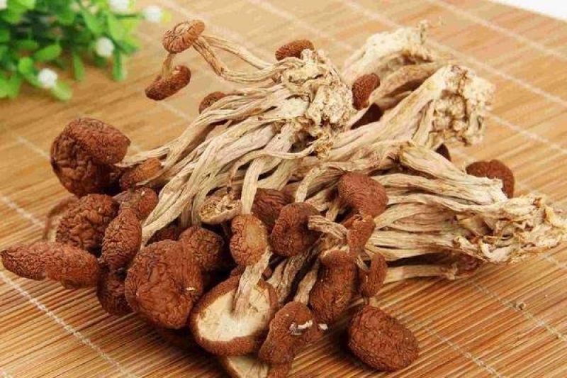 茶树茹