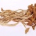 茶树茹