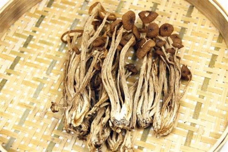 茶树茹