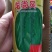 【优质】龙卷风西瓜种子大红瓤甜度高口感好抗病好