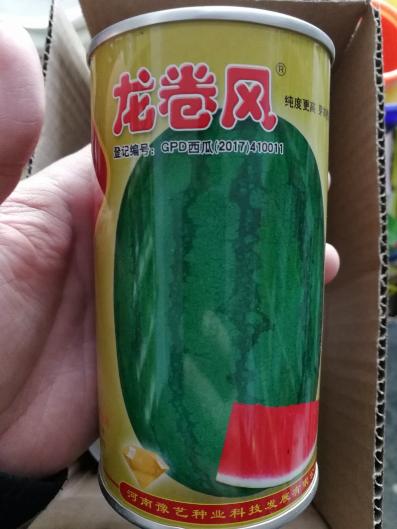【优质】龙卷风西瓜种子大红瓤甜度高口感好抗病好