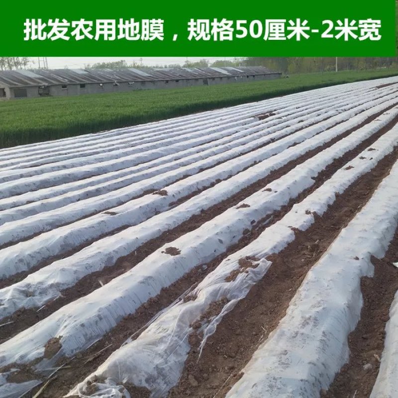 果园果树双色银黑地膜反光除草防虫保湿农用薄膜葡萄银灰地膜