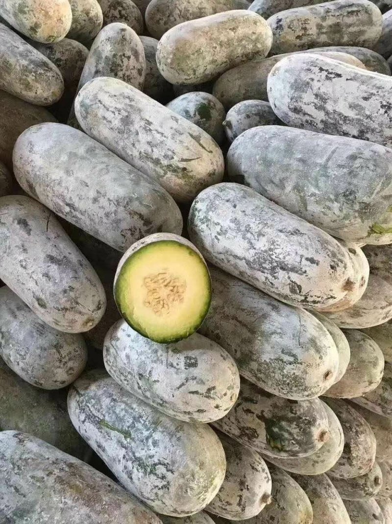 云南香冬瓜