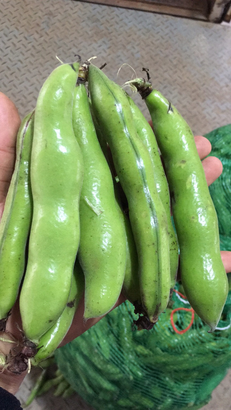 贵州精品蚕豆，大山里的土货产地直发，无中间商差价，