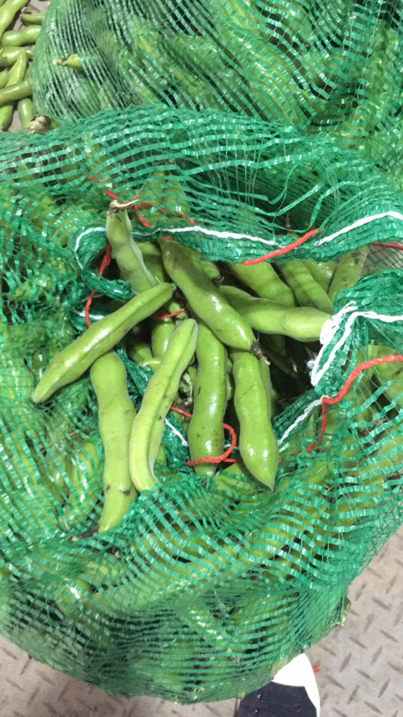 贵州精品蚕豆，大山里的土货产地直发，无中间商差价，