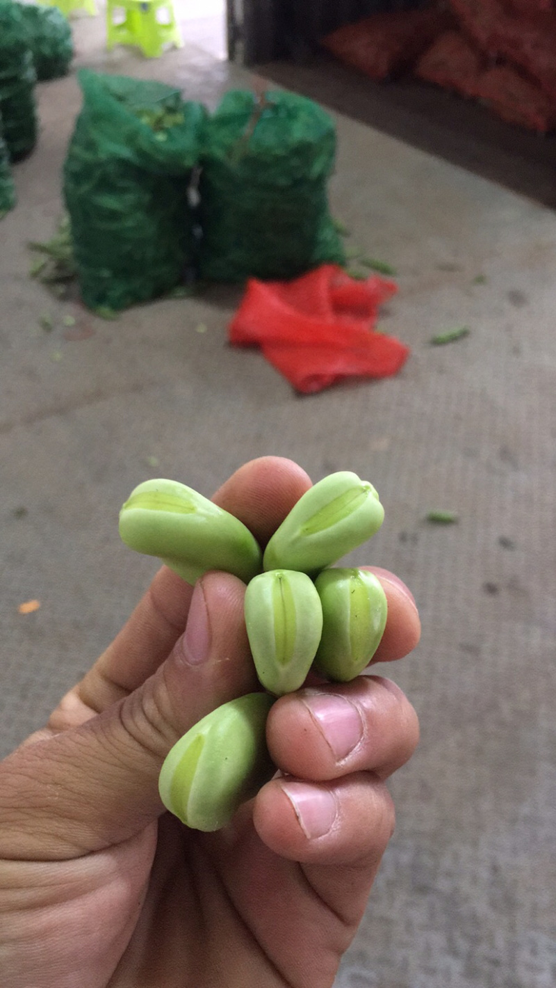 贵州精品蚕豆，大山里的土货产地直发，无中间商差价，