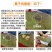 【支持无痕代发】红肉菠萝蜜超脆甜，水果店热卖款