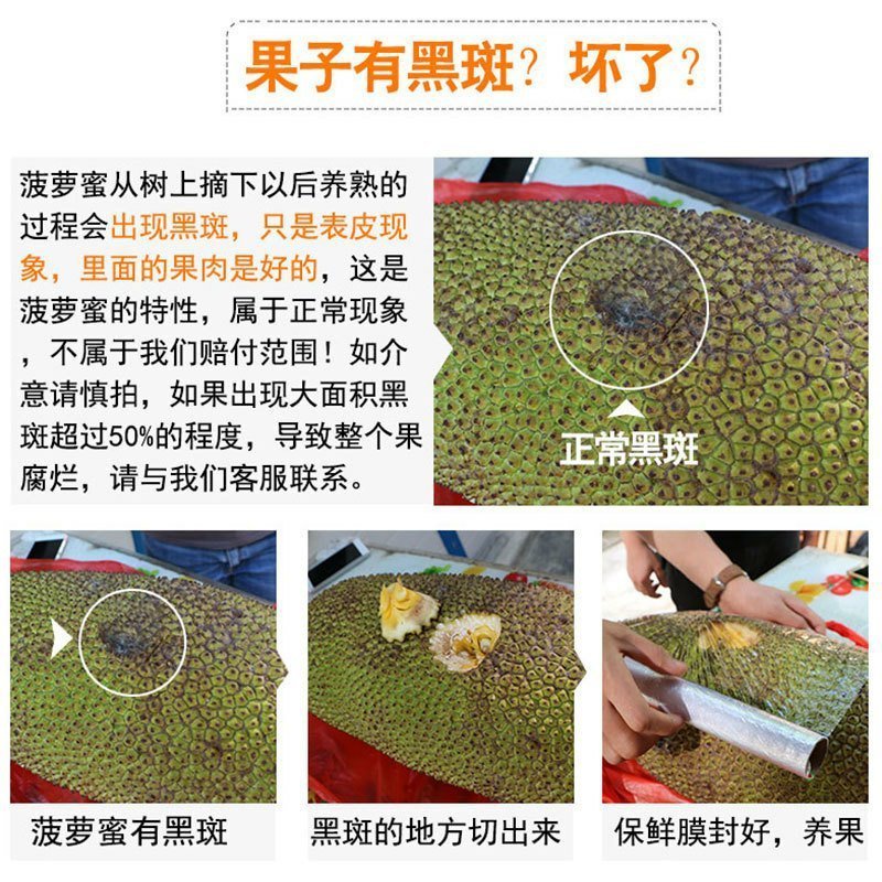【支持无痕代发】红肉菠萝蜜超脆甜，水果店热卖款
