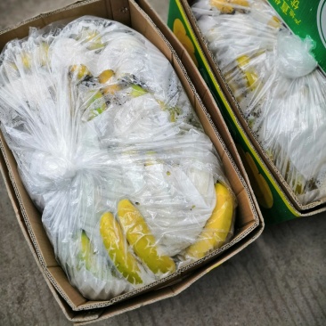 香蕉