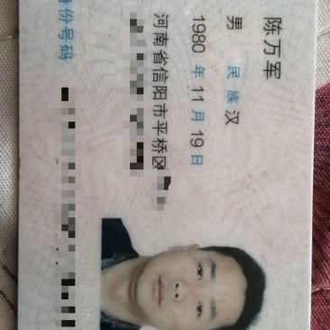 2020年信阳毛尖新茶上市