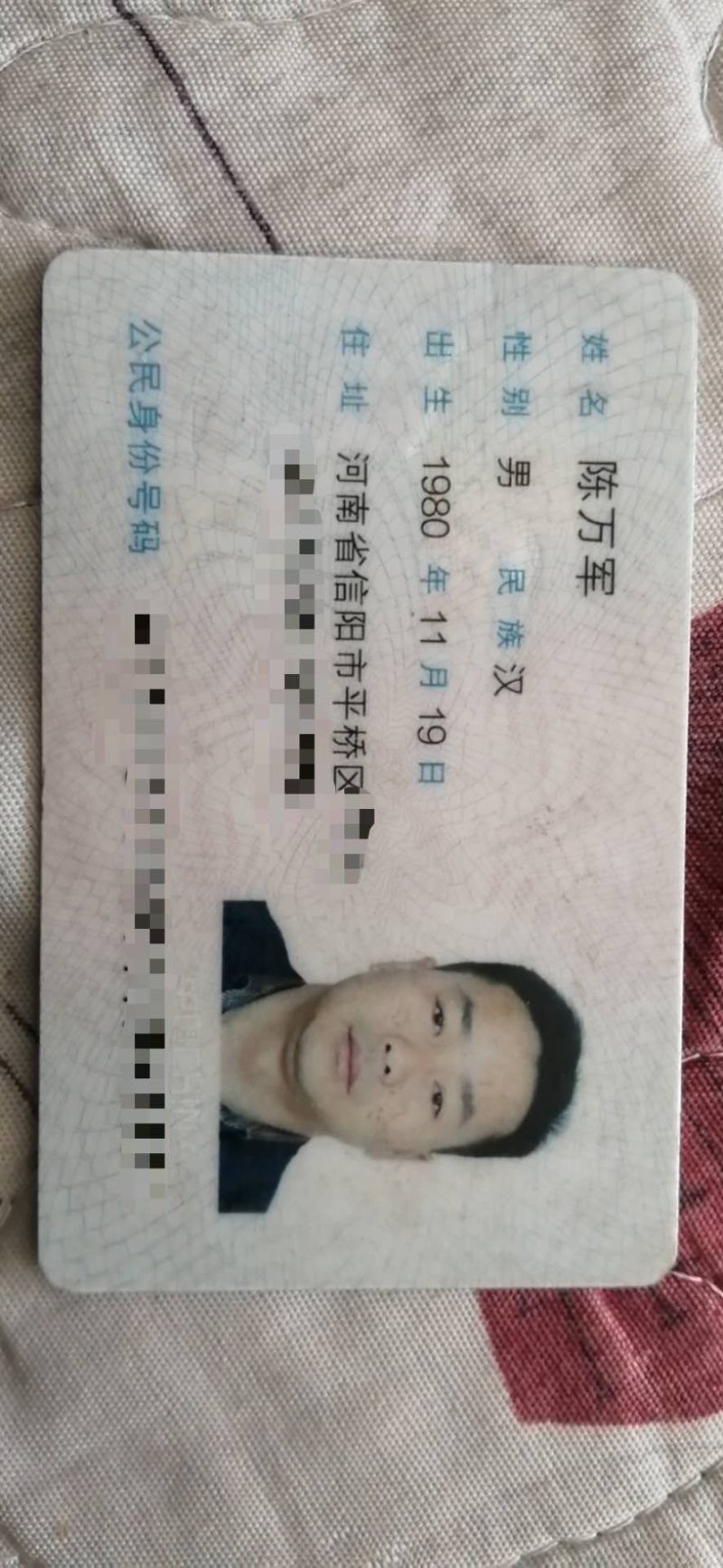 2020年信阳毛尖新茶上市