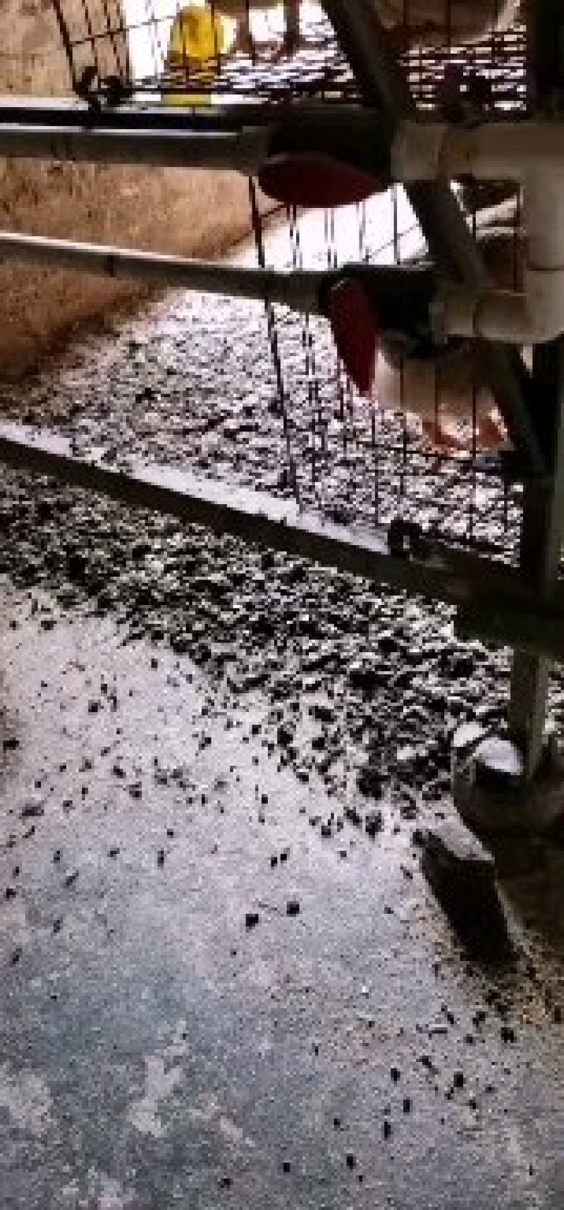 【荐】新鲜纯肉鸡粪发酵鸡粪纯鸡粪一手货源鸡场直销