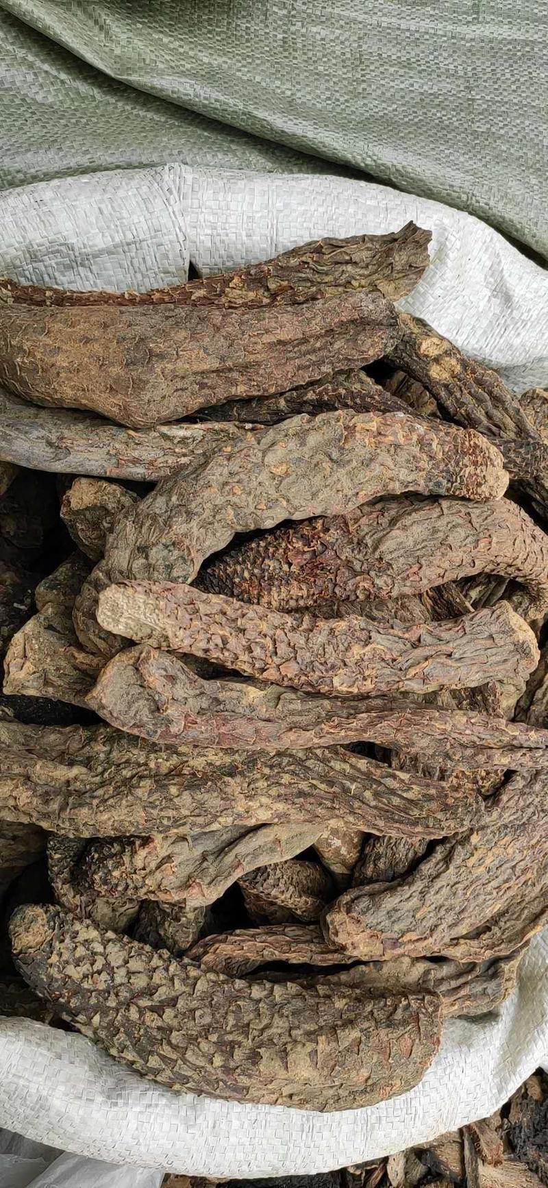 肉苁蓉新疆大云木质硬片大含量高大货供应可全国发货