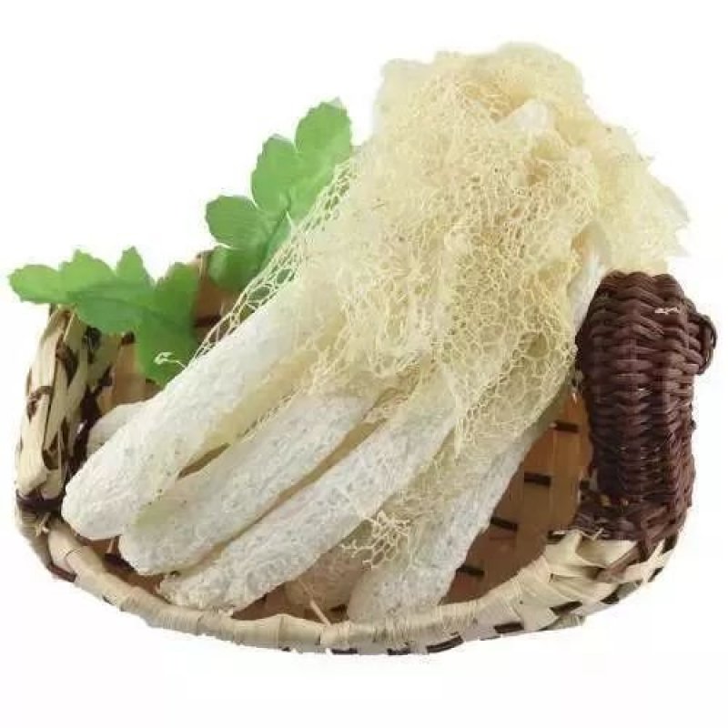 山野竹荪