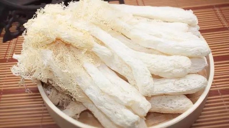山野竹荪