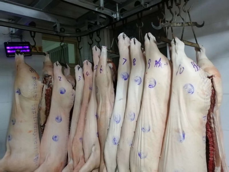 黑猪肉生肉真空包装顺丰包邮