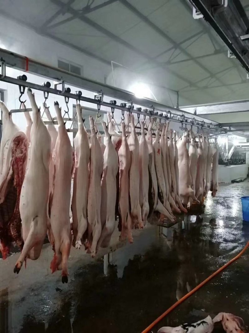 黑猪肉生肉真空包装顺丰包邮
