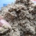 推出新产品饲料鱼干粉，气味好，已粉碎价格低6500一吨