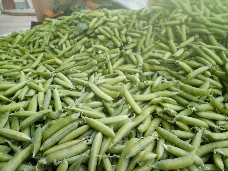 干豌豆