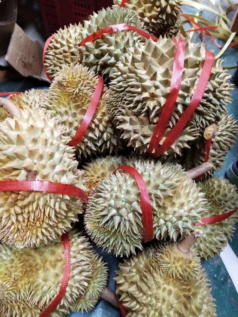 泰国金枕甲仑榴莲2/3斤装包邮榴莲3/4斤装