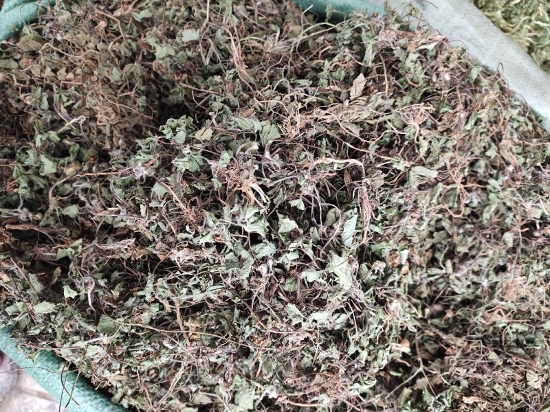 草类雷公根草崩大碗积雪草马蹄草雷公藤草新货