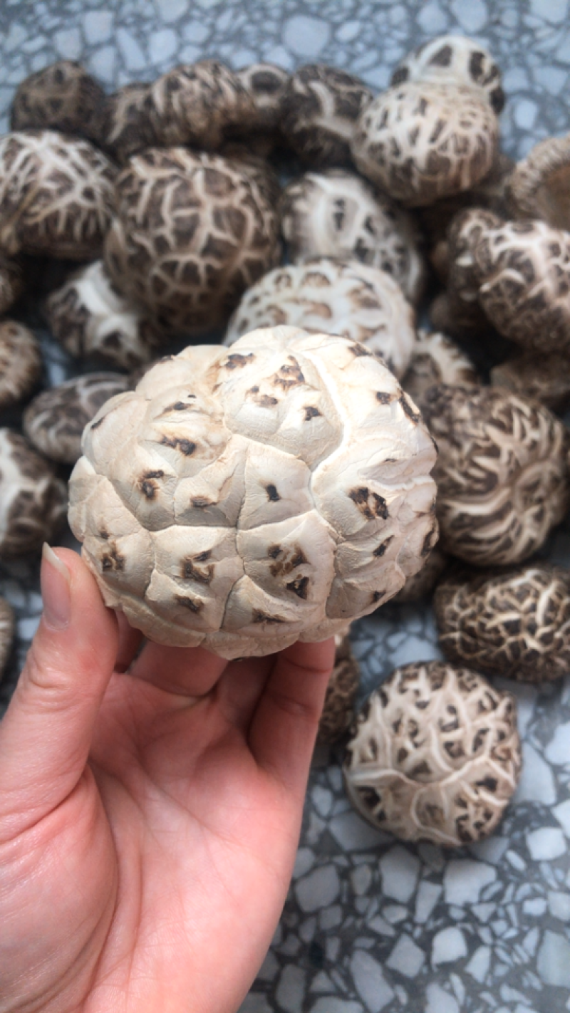 土特产香菇干菇花菇干货500g农家特级散装包邮天然绿色食
