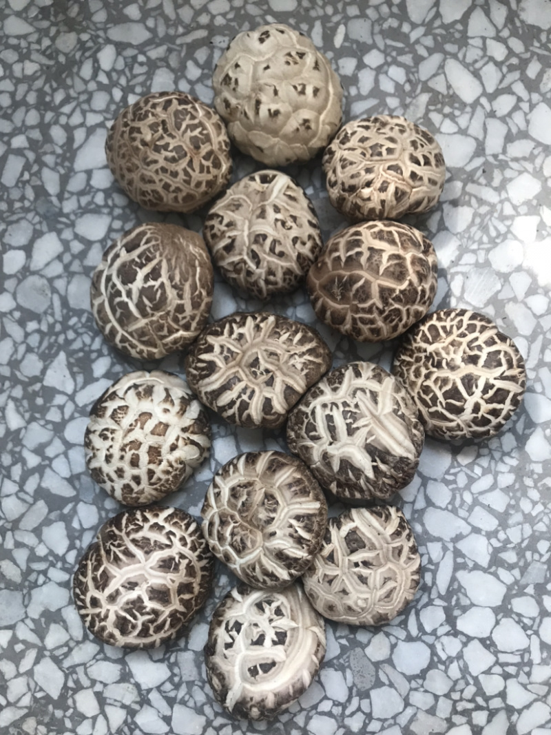 土特产香菇干菇花菇干货500g农家特级散装包邮天然绿色食
