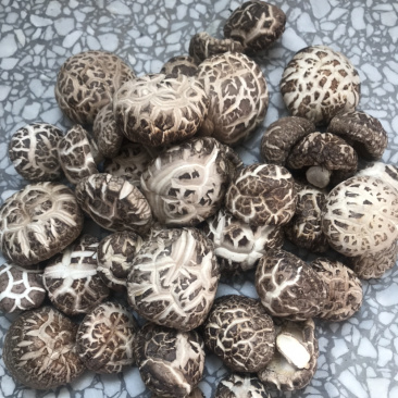 土特产香菇干菇花菇干货500g农家特级散装包邮天然绿色食