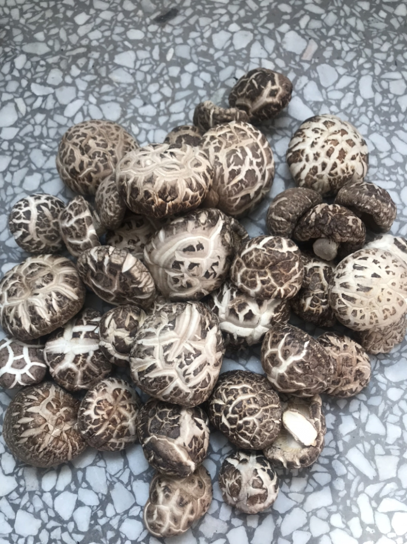 土特产香菇干菇花菇干货500g农家特级散装包邮天然绿色食