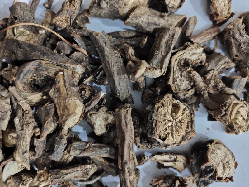 墓回头中药材野生追风箭墓头回/灰