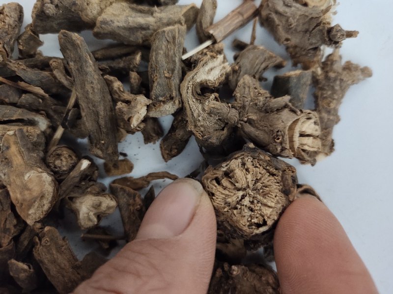 墓回头中药材野生追风箭墓头回/灰