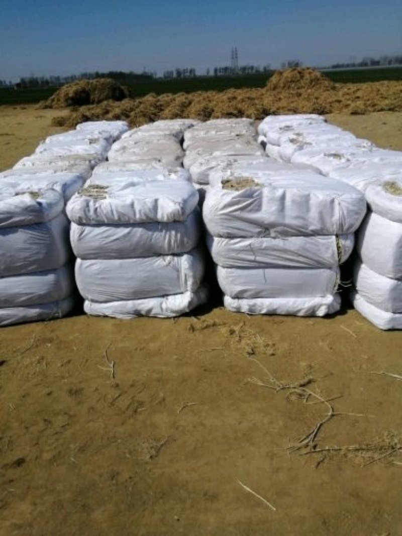 精品新东白茅根野生白茅根，规格齐全，量大从优，欢迎联系