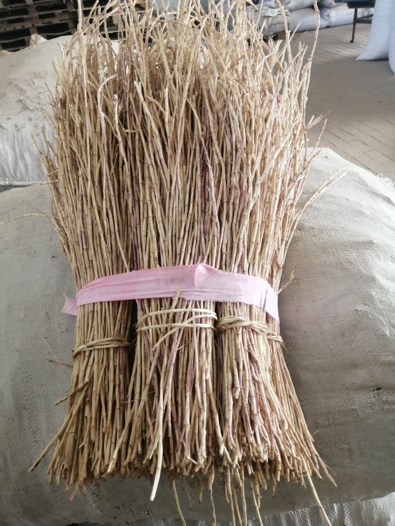 精品新东白茅根野生白茅根，规格齐全，量大从优，欢迎联系