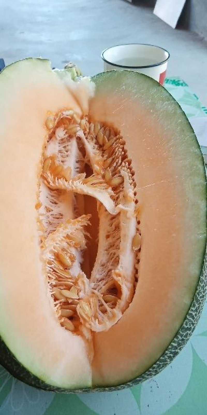 哈密瓜