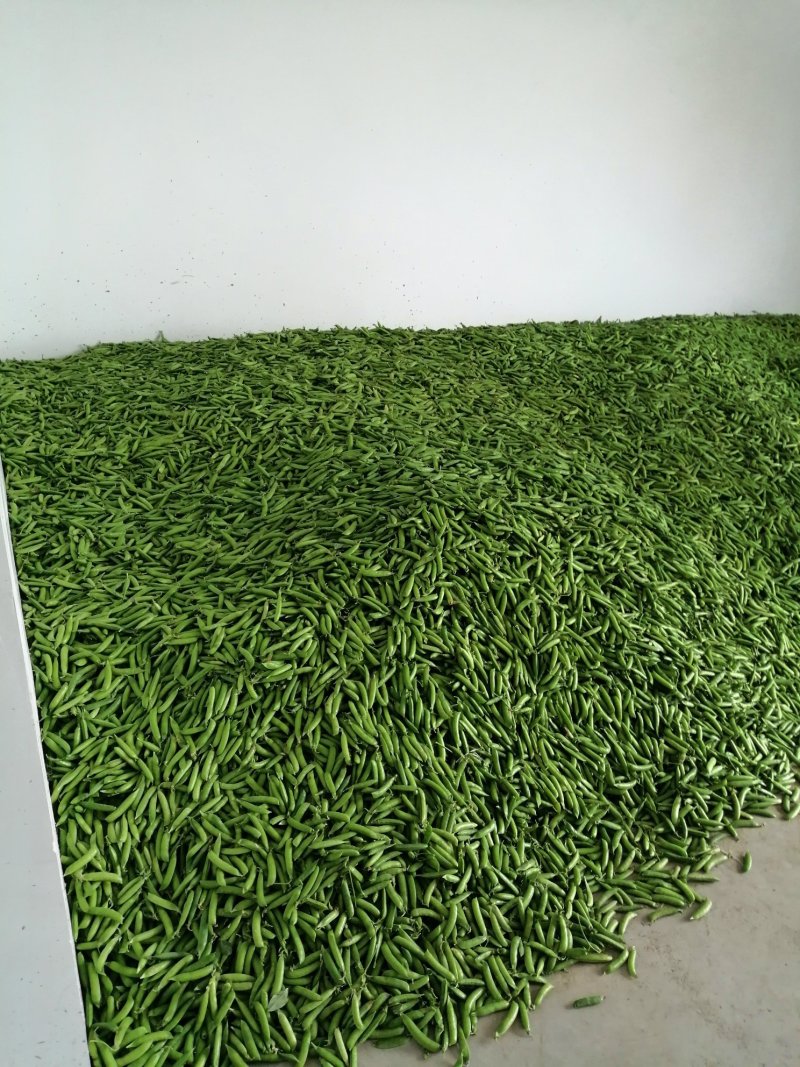 豌豆角