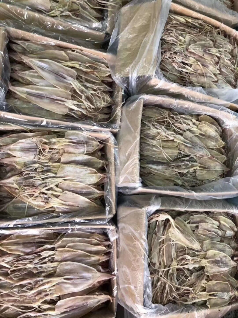 鱿鱼干，大量现货，本港货