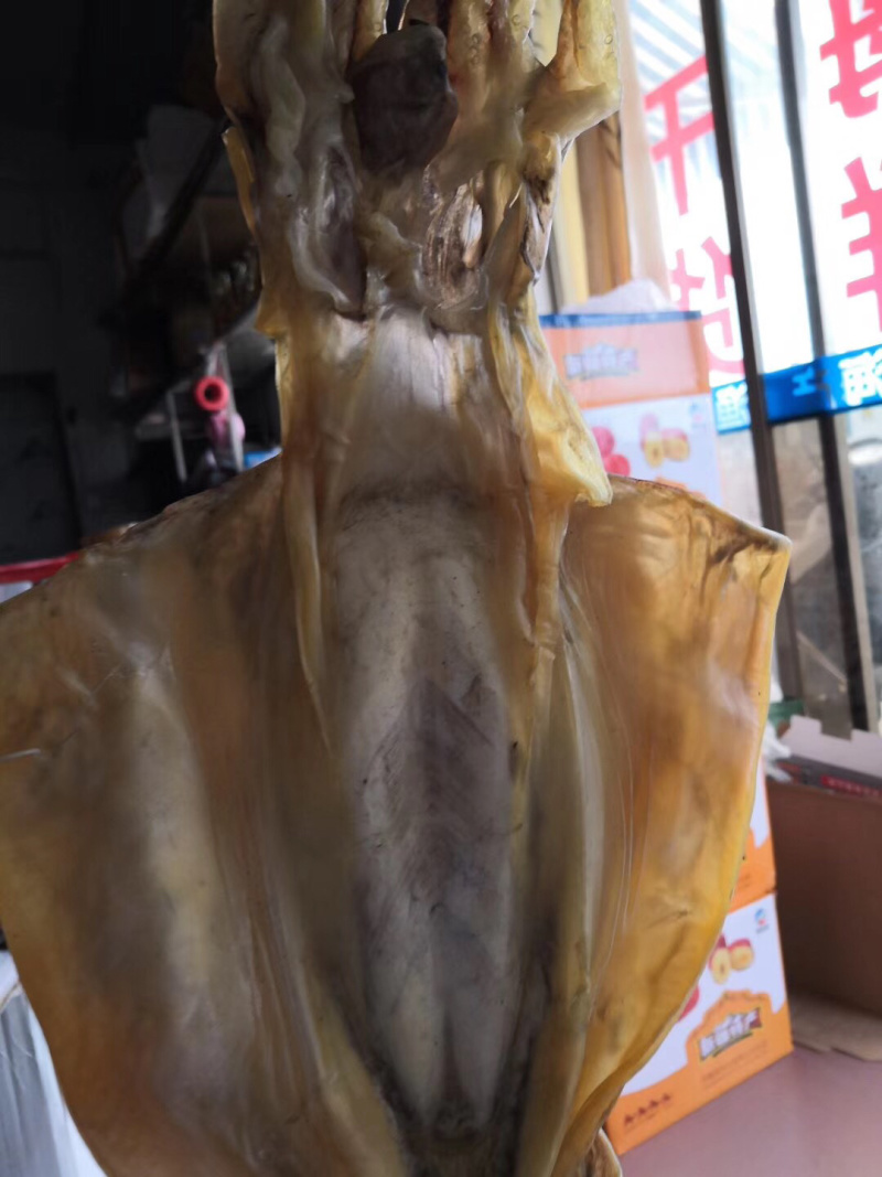 大章鱼，本港，淡口。合适煲汤，