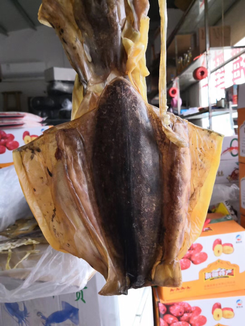 大章鱼，本港，淡口。合适煲汤，
