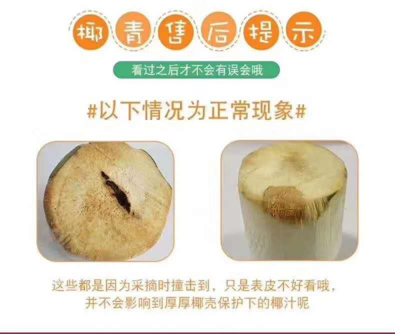 海南文昌椰子可以视频看货，原产地供应，一件代发