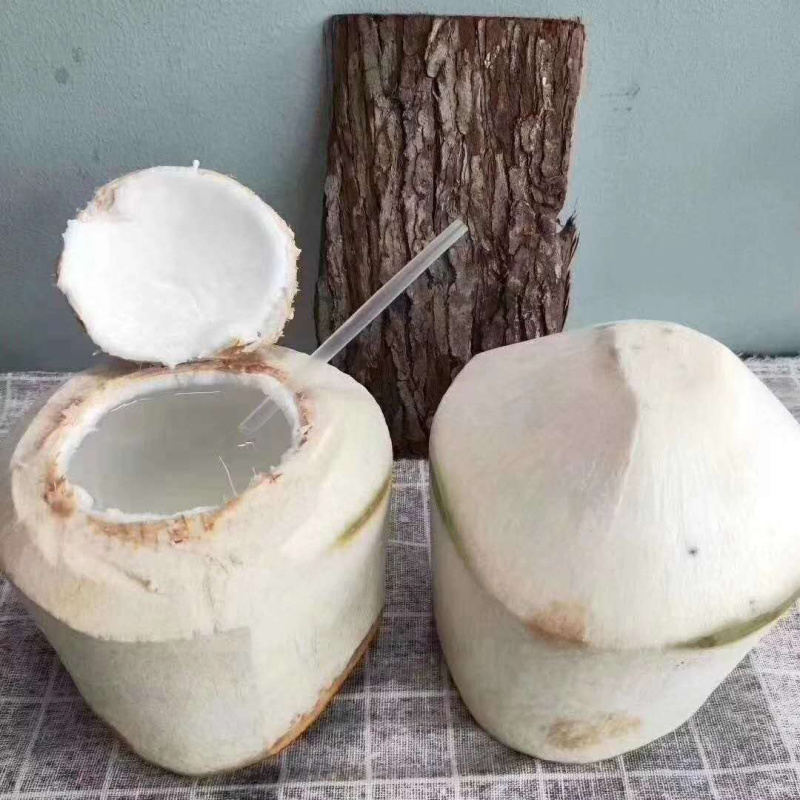 海南文昌椰子可以视频看货，原产地供应，一件代发