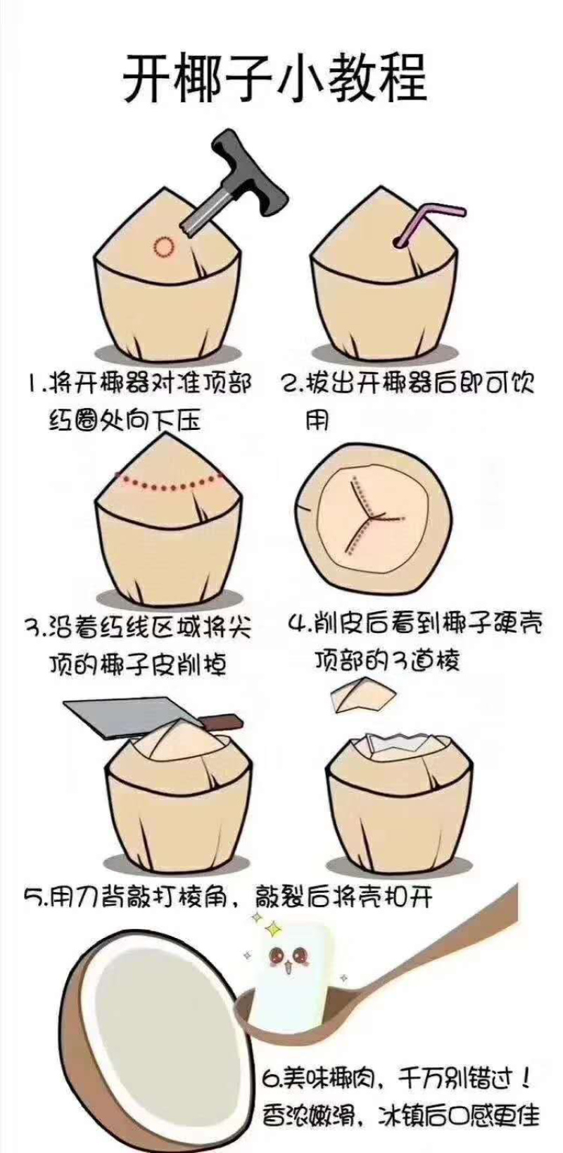 海南文昌椰子可以视频看货，原产地供应，一件代发